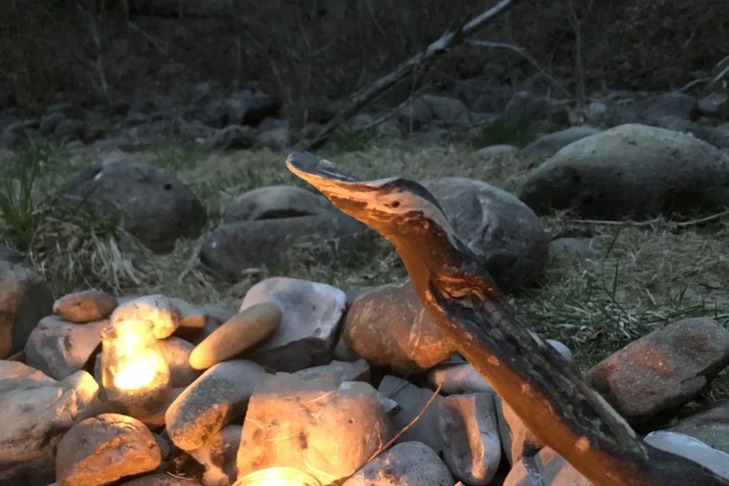 Gespräche in der Natur